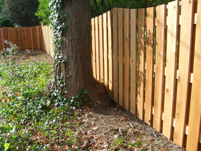 photo26.jpg