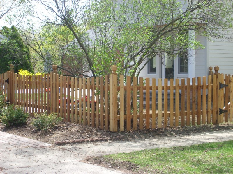 photo30.jpg