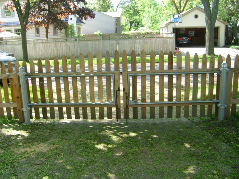 photo59.jpg